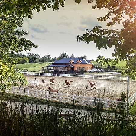 Hotel Horse Riding - Jezdecky Areal Trsice Ngoại thất bức ảnh
