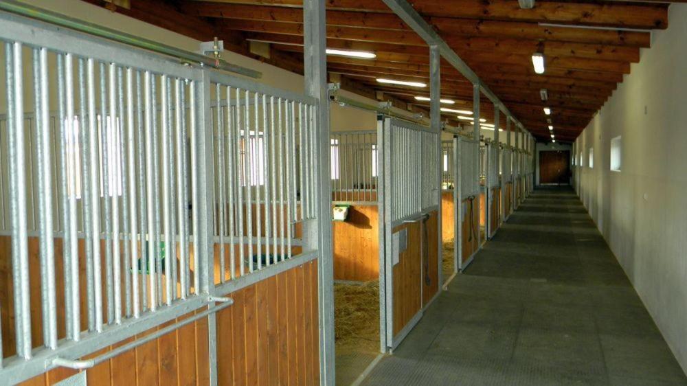Hotel Horse Riding - Jezdecky Areal Trsice Ngoại thất bức ảnh