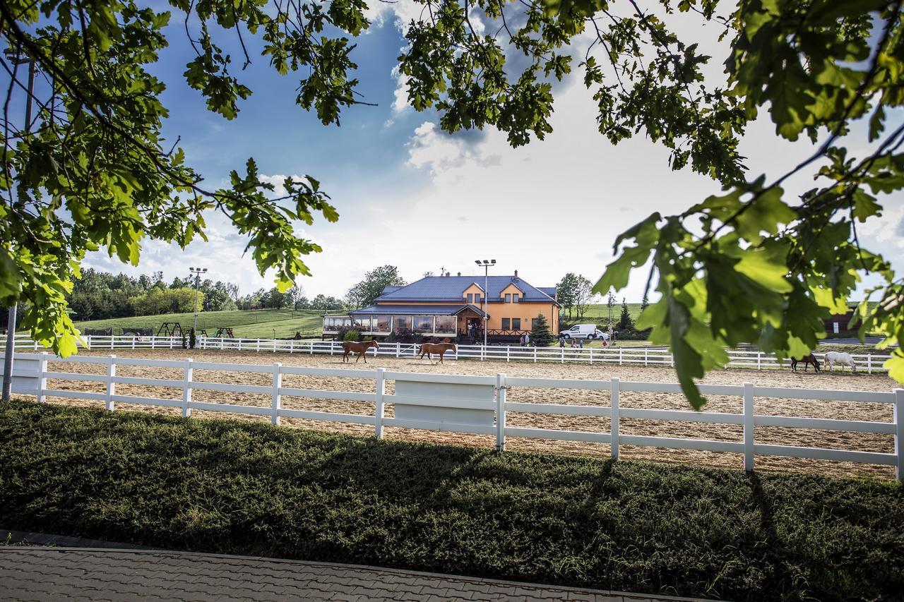 Hotel Horse Riding - Jezdecky Areal Trsice Ngoại thất bức ảnh