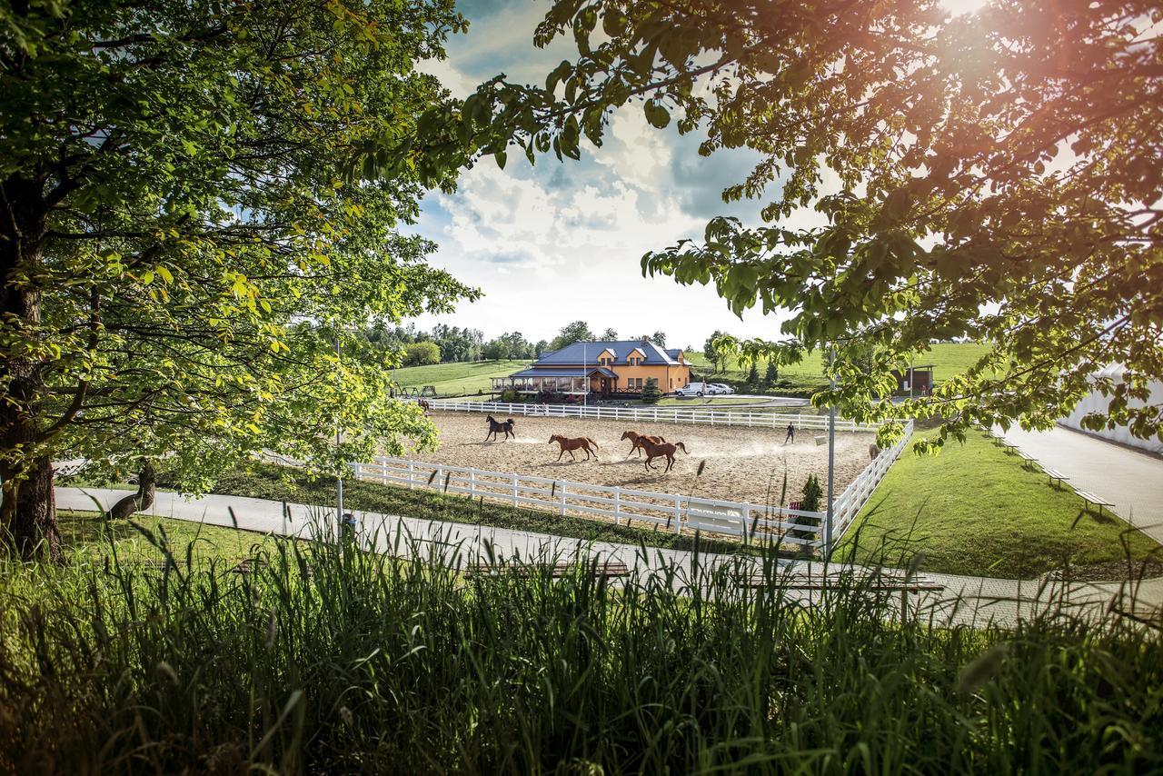 Hotel Horse Riding - Jezdecky Areal Trsice Ngoại thất bức ảnh