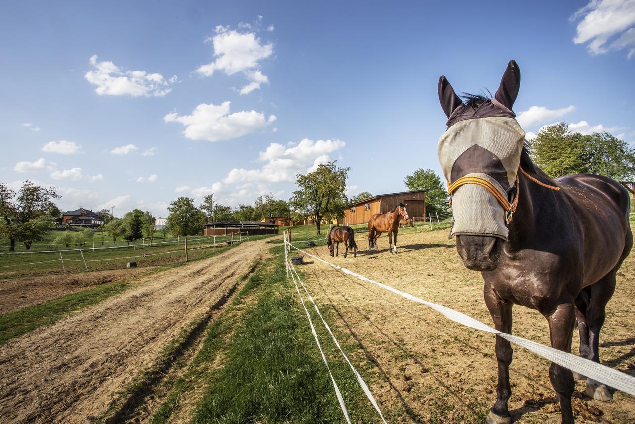 Hotel Horse Riding - Jezdecky Areal Trsice Ngoại thất bức ảnh