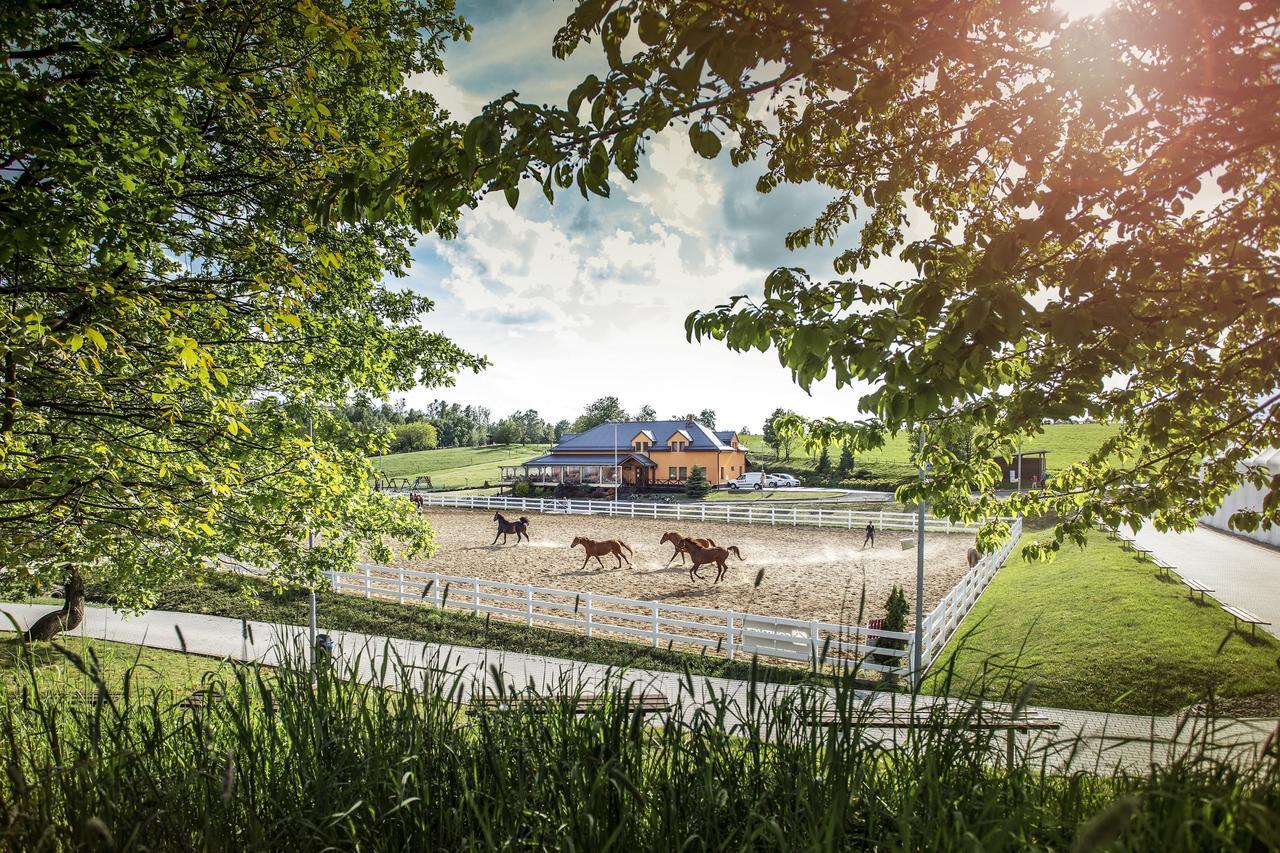 Hotel Horse Riding - Jezdecky Areal Trsice Ngoại thất bức ảnh