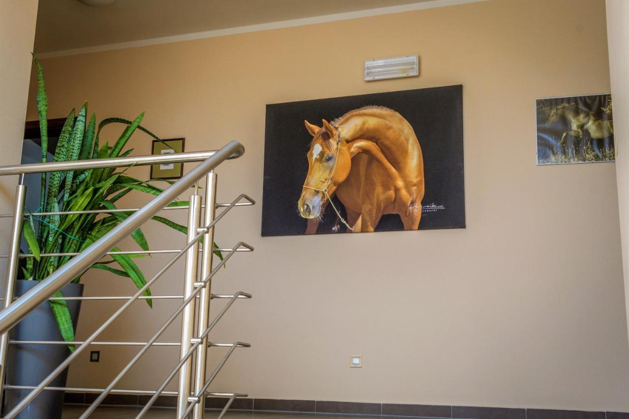 Hotel Horse Riding - Jezdecky Areal Trsice Ngoại thất bức ảnh
