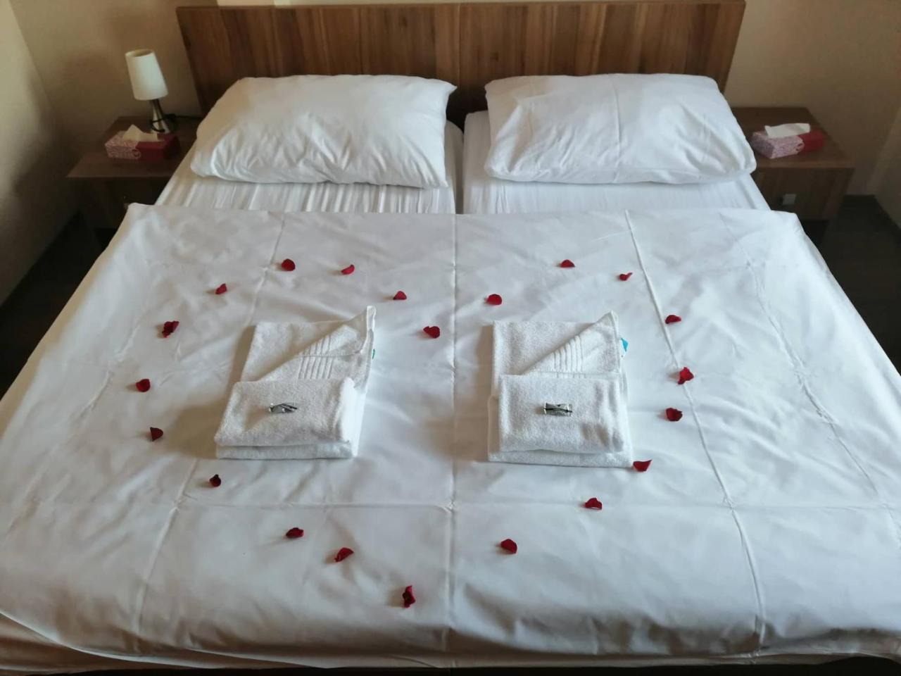 Hotel Horse Riding - Jezdecky Areal Trsice Ngoại thất bức ảnh